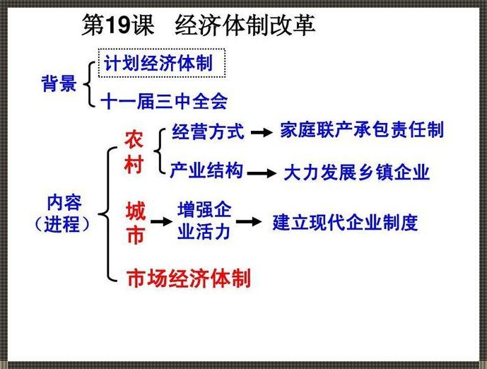 五大经济体制：一段感人至深的改革之旅