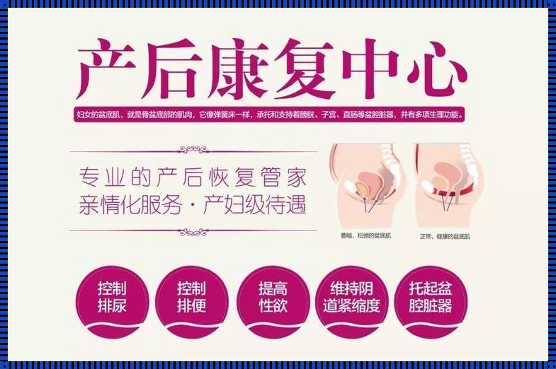 产后康复的新理念：全面关怀新妈妈的身心健康