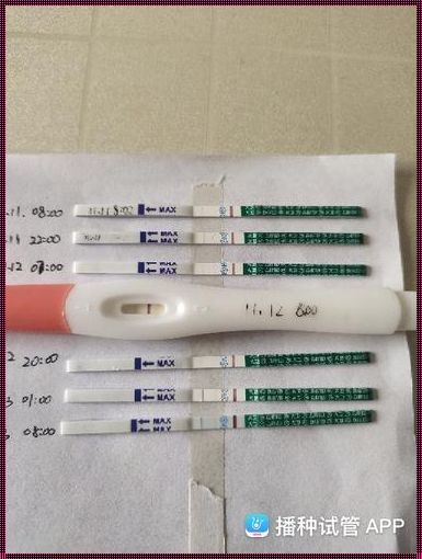 移植胚胎后多久可以测出怀孕？——深入探讨胚胎移植后的怀孕检测时间