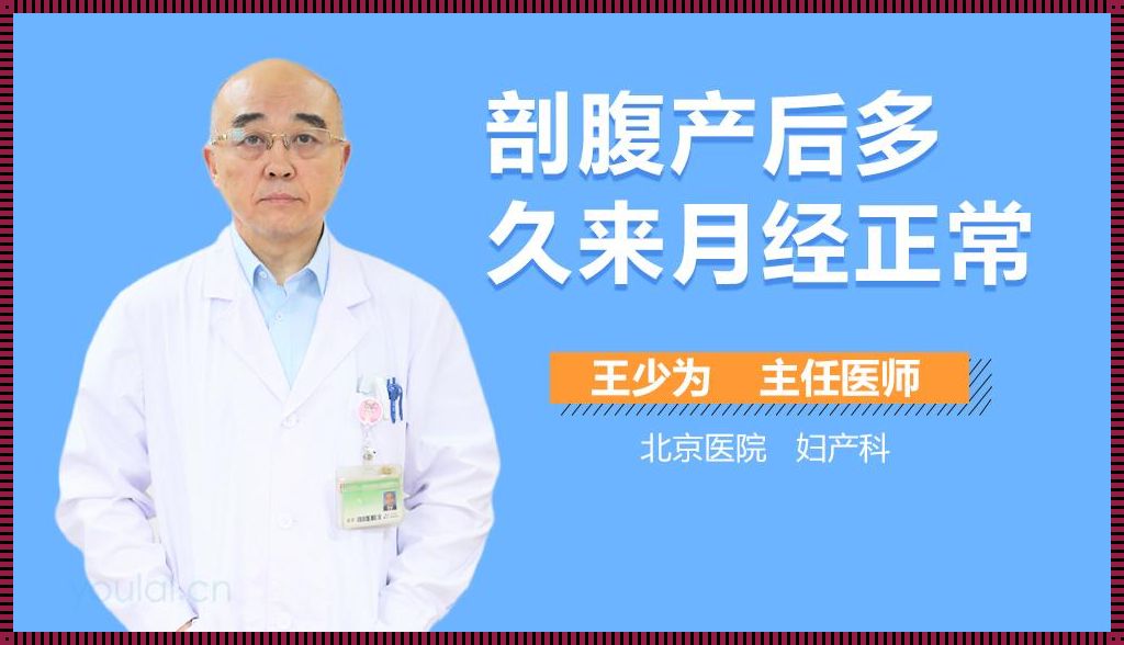 剖腹产后月经多久才正常：理解身体，静待花开