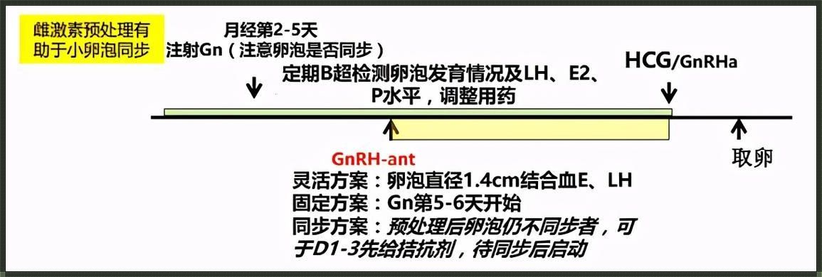 促排周期：爱的漫漫长路，等待花开