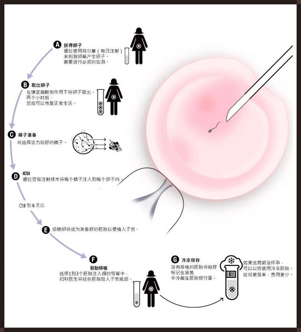 买卵做试管婴儿价格揭秘：理性评估与明智选择