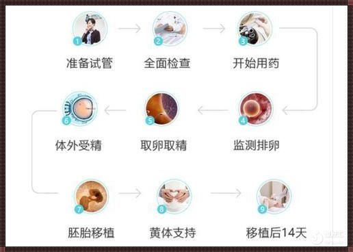 买卵做试管婴儿价格揭秘：理性评估与明智选择