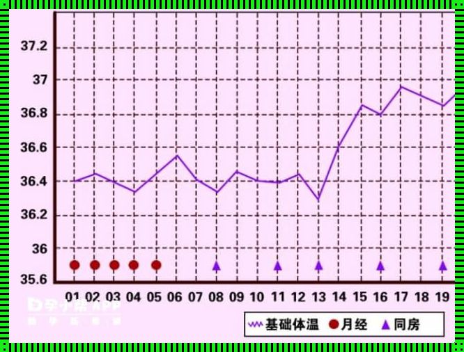体温测排卵期：如何准确预测排卵期