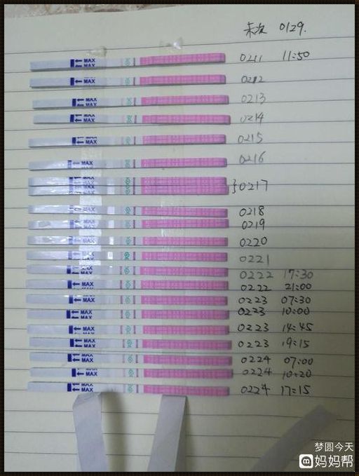 《排卵试纸怎么看是怀孕：一位环保志愿者的亲身体验与解析》