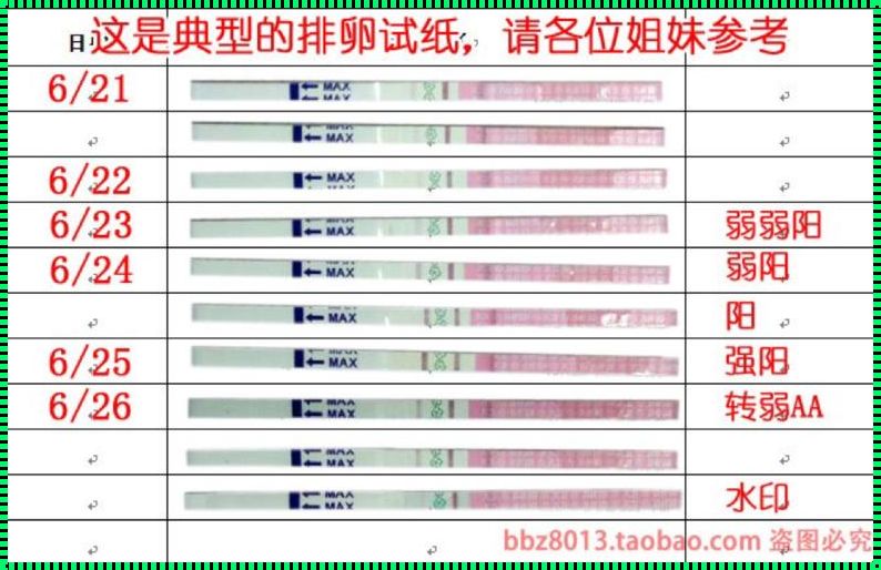 《卵子的秘密：排卵试纸阳性的含义解析》