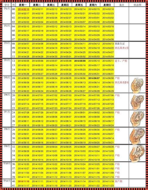 怀孕多少周怎么算——揭秘孕期计算的神秘面纱