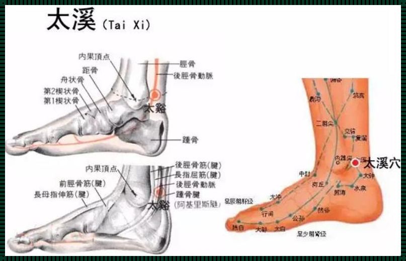 太溪刺血功效：活血化瘀，养生之道