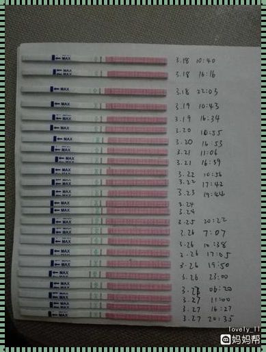 备孕进行时：超强阳其实已经排完卵了，你准备好迎接新生命了吗？