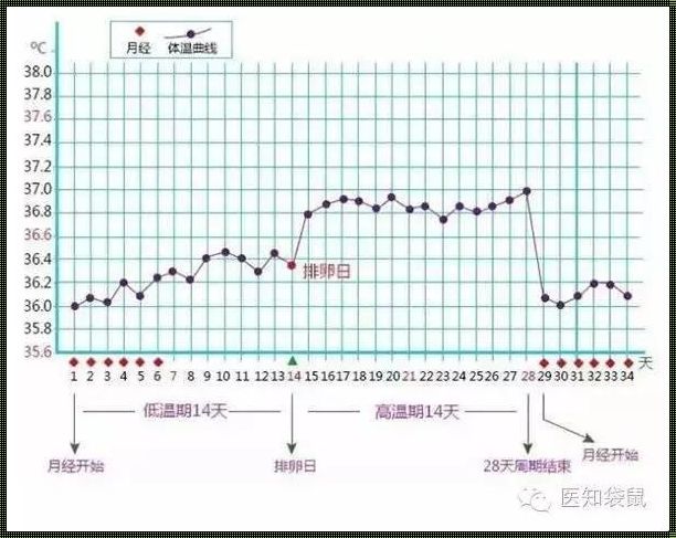 测排卵期的最简单方法：轻松备孕，创新玩法