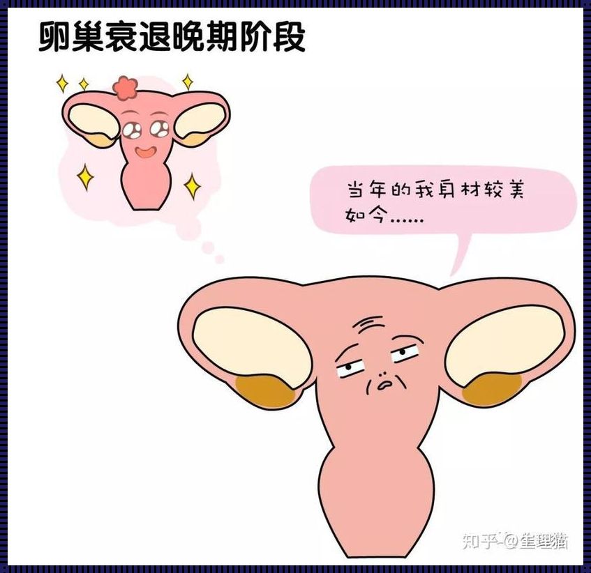 雌激素低卵巢早衰：揭秘女性生育力的秘密