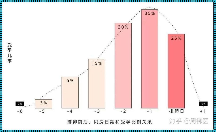 排卵前多久同房可以怀孕：深入剖析备孕知识