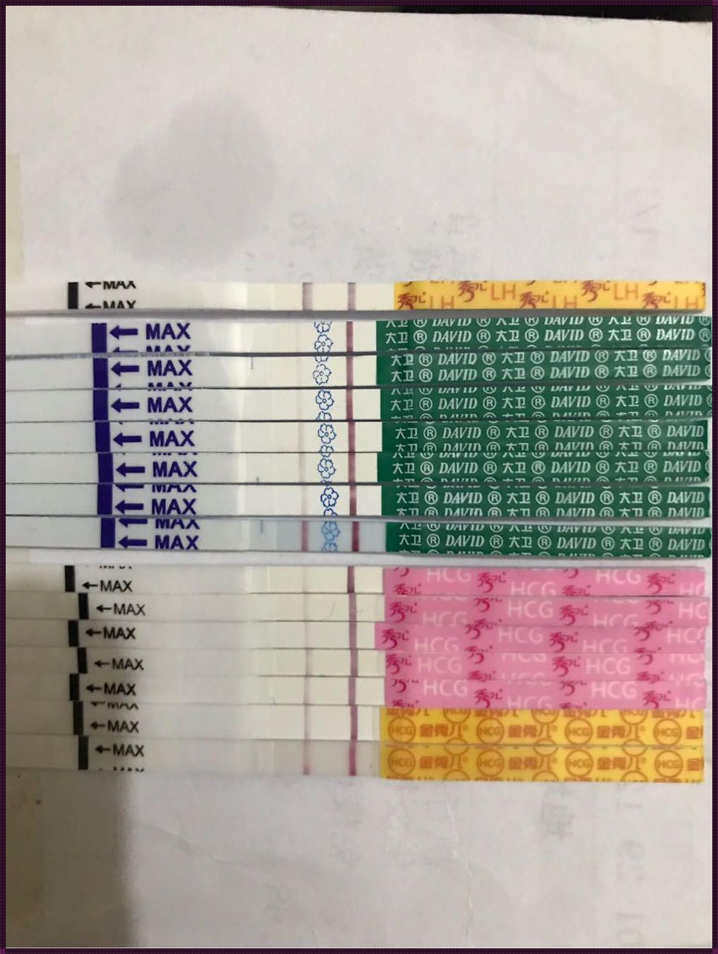 大卫准还是秀儿准排卵——探讨备孕中的精准预测与仁心关怀