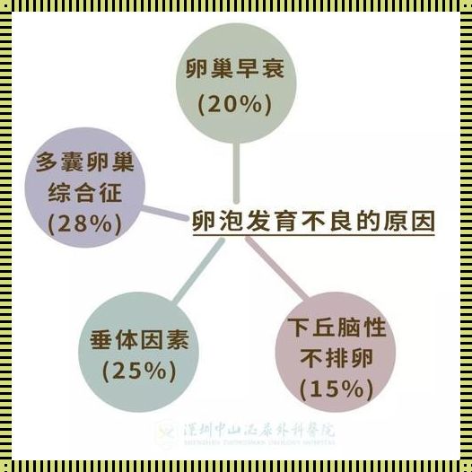 卵泡萎缩的神秘面纱：揭开备孕路上的隐秘挑战