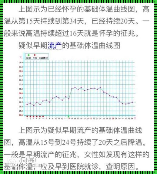 孕8周体温下降无腹痛，揭秘怀孕期间的体温变化