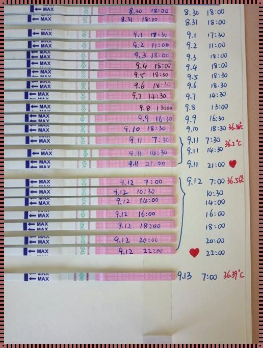 排卵试纸弱阳后多久强阳：备孕路上的明灯