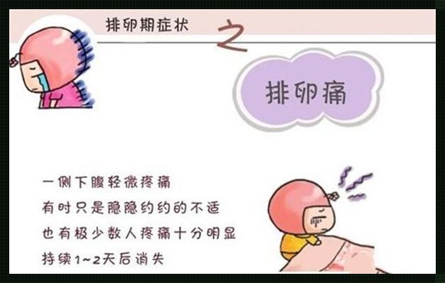 女人排卵期身体有哪些表现：揭秘生育密码