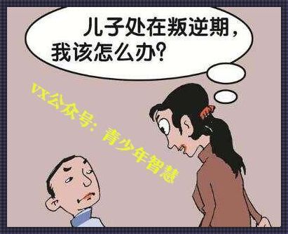 赞誉中的10-16岁叛逆期教育方法