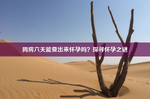 同房六天能查出来怀孕吗？探寻怀孕之谜