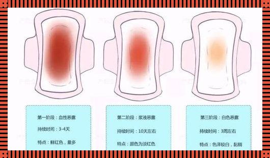 五个月引产后恶露干净时间探究