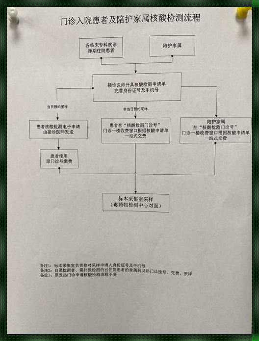 揭开剖腹产后住院神秘面纱：一篇为您量身定制的指南