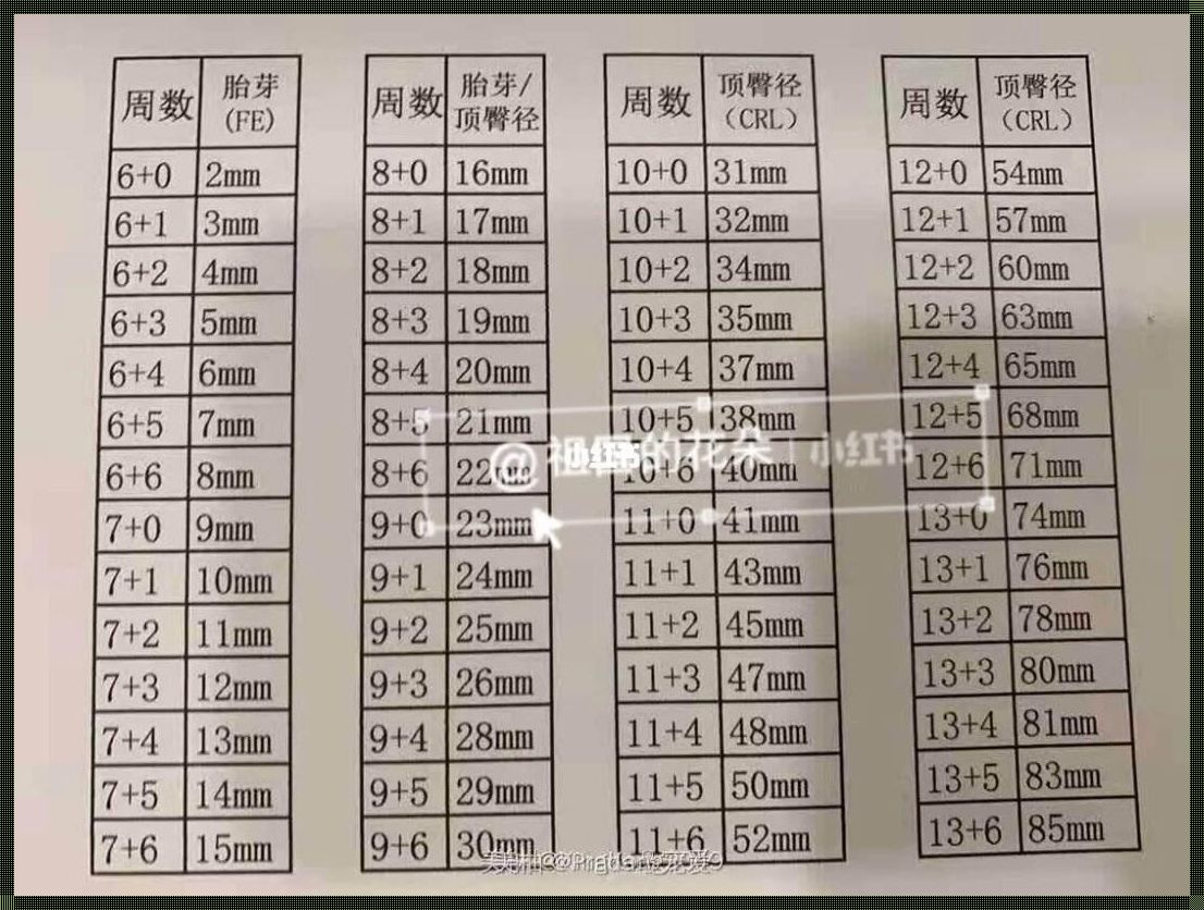 胚胎长度和孕周对照表：为你揭示生命的奇迹