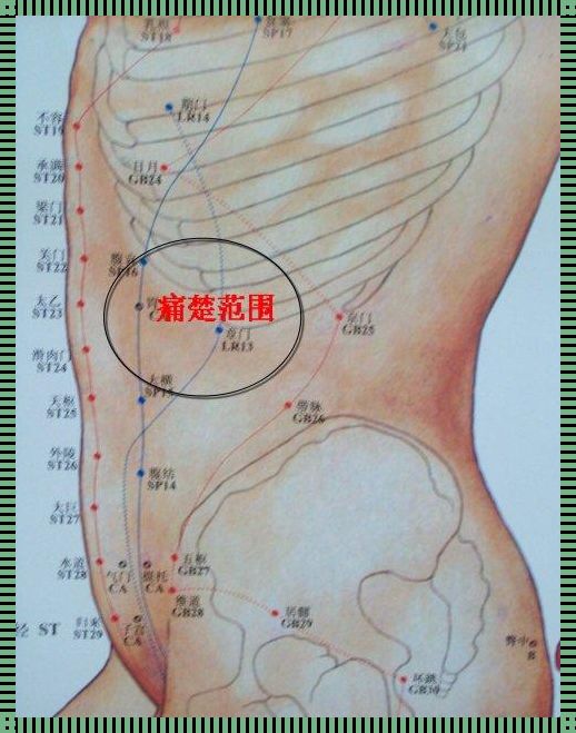 左肋骨痣相图解：探寻隐藏的意义