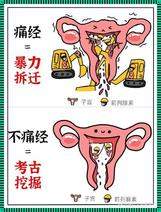 难以承受之“痛”：姨妈痛与早孕痛的鉴别之谜