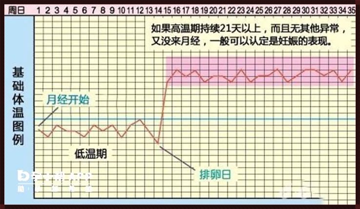 排卵前两天同房怀孕几率大吗？