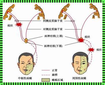 唾液抹眼皮的功效与作用：揭开神秘的面纱