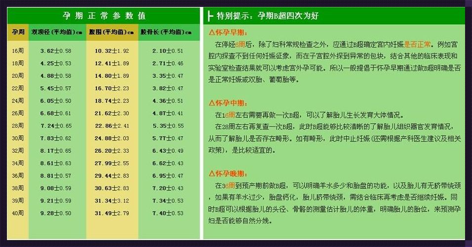 孕期胎儿大小正常参考值：一份温馨的分享