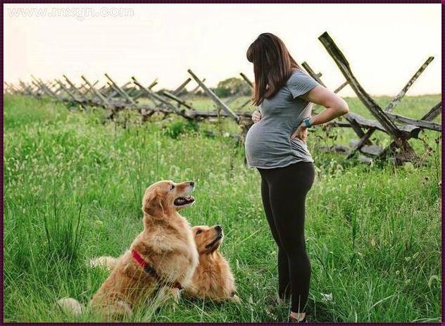 已婚女人梦到别人怀孕：一场意外的惊现