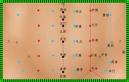 小儿止泻的准确位置图：一张图解决家长的烦恼