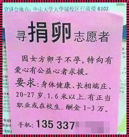 勇敢的抉择：我的捐卵经历