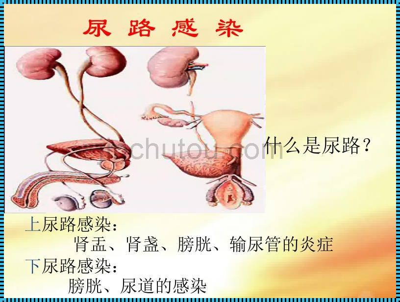 尿路感染会无力发软吗？