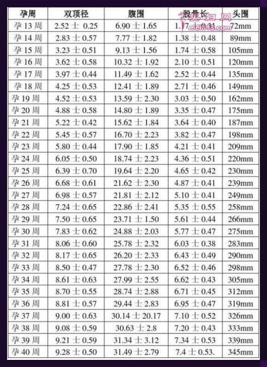 揭秘胎儿头围大小与孕周对照表：一场生命的奇妙旅程