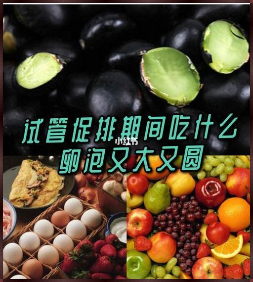 吃什么补卵泡又大又圆？解密备孕期间的饮食奥秘