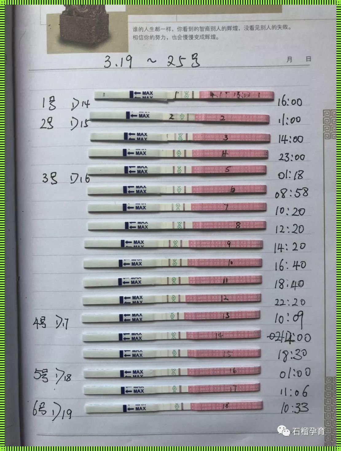 排软试纸怎么测试是否排卵？备孕路上的惊现之旅