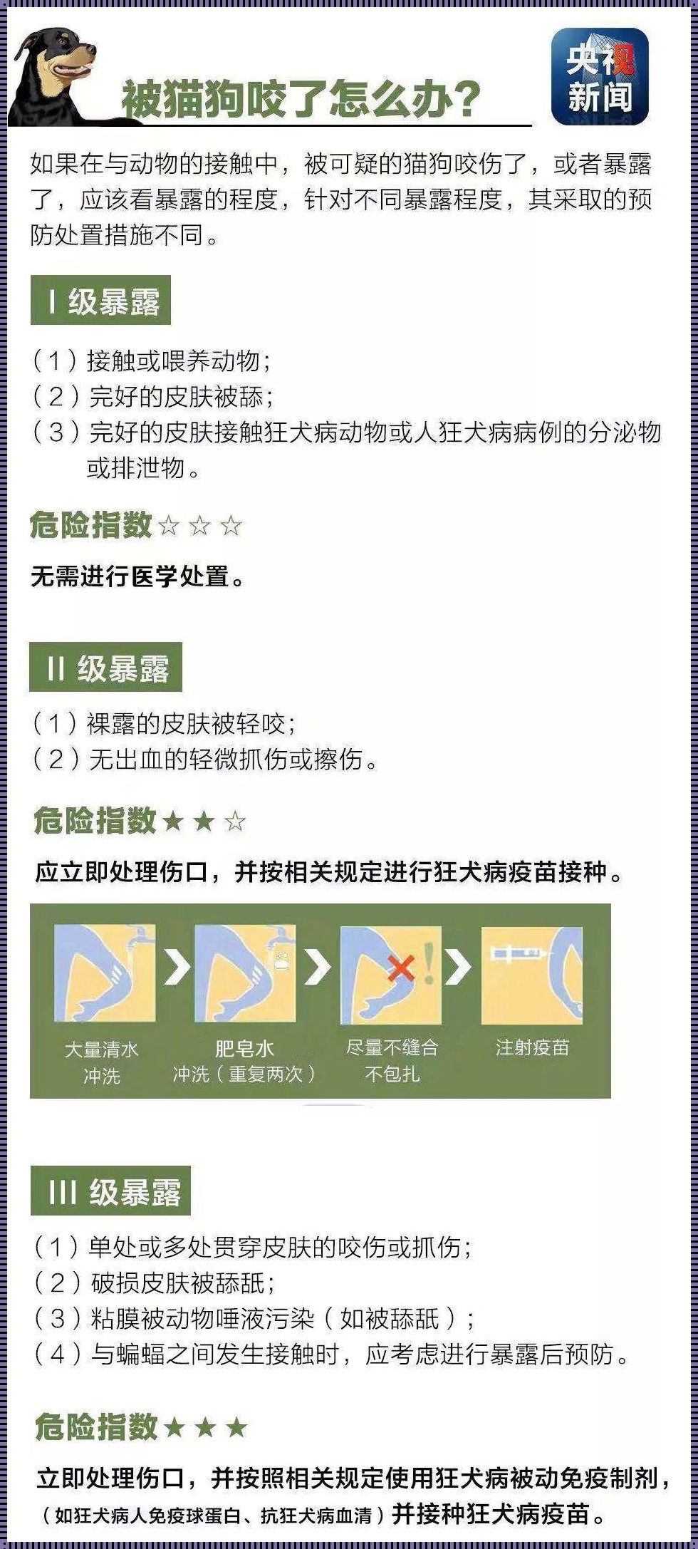 被猫咬了七日观察法：一场意外的惊喜