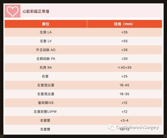 孕期重要里程碑：39周超声检查正常值解析