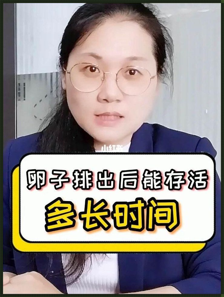 卵子存活时间是多久？备孕路上的探索