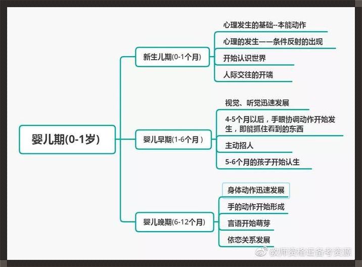 震惊！2岁宝宝的心理发展竟然是这样的！