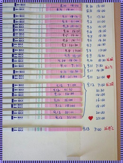 排卵试纸强阳后受孕的最佳时间：揭开神秘面纱