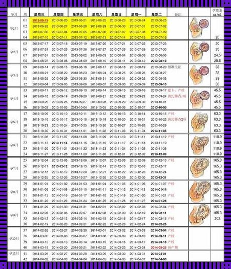 37周6斤到40周大概多重：孕期体重增长的奥秘