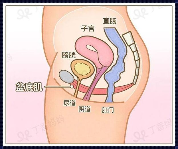 引产后子宫收缩要多久：神秘的生理过程解读