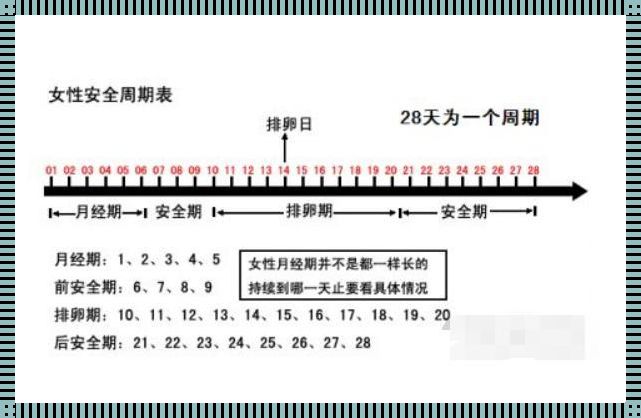 排卵期安全期图表：揭秘女性生殖周期的奥秘