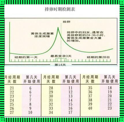 怀孕，是不是排卵期才会怀？揭秘怀孕的奥秘