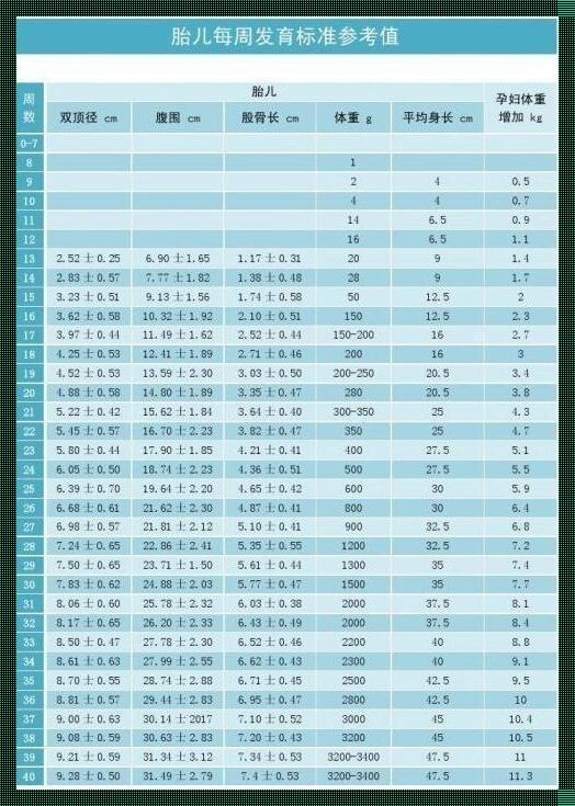 32周胎儿正常体重是多少斤