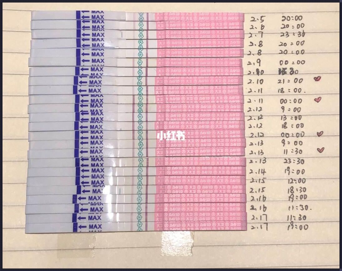 排卵试纸阳性多久会排卵：一场神秘的生理之旅