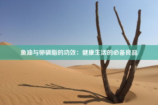 鱼油与卵磷脂的功效：健康生活的必备良品